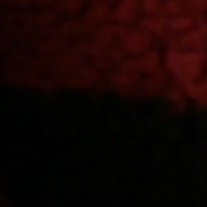 Meet your Posher, Jody